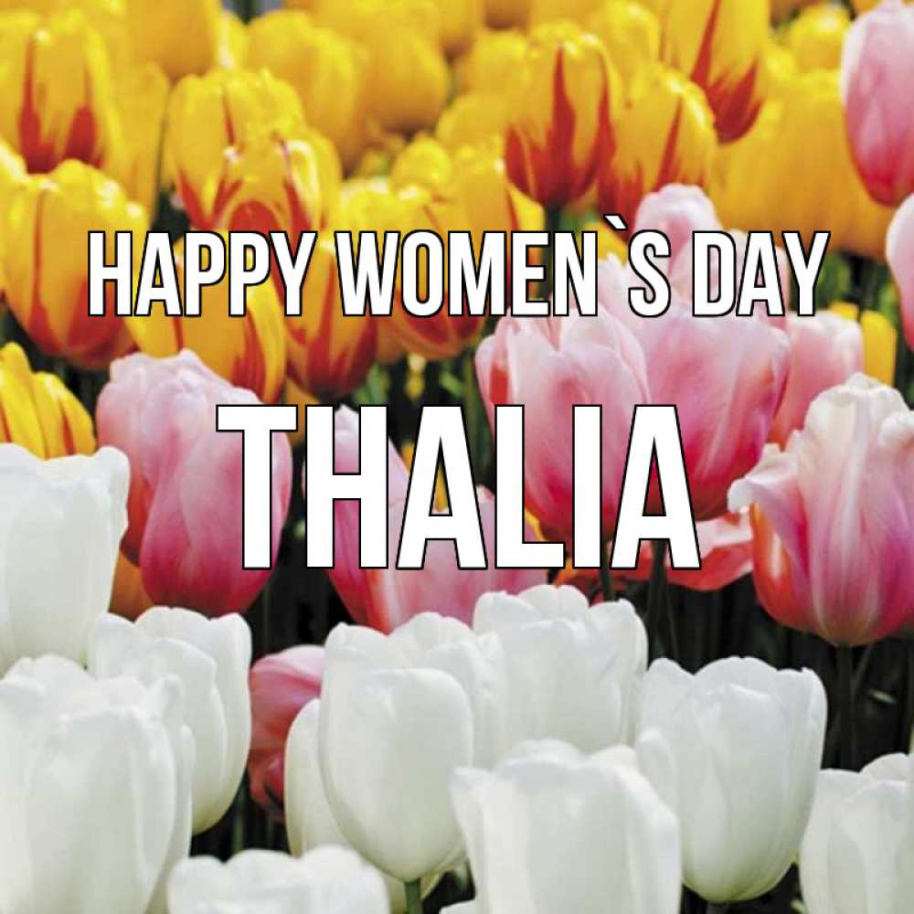 Greetings card с именем, Thalia happy women`s day разноцветные цветы Greetings with text for free download 